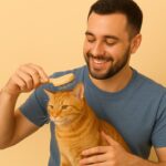 Cat Care Guide How-To & How Often Explained
