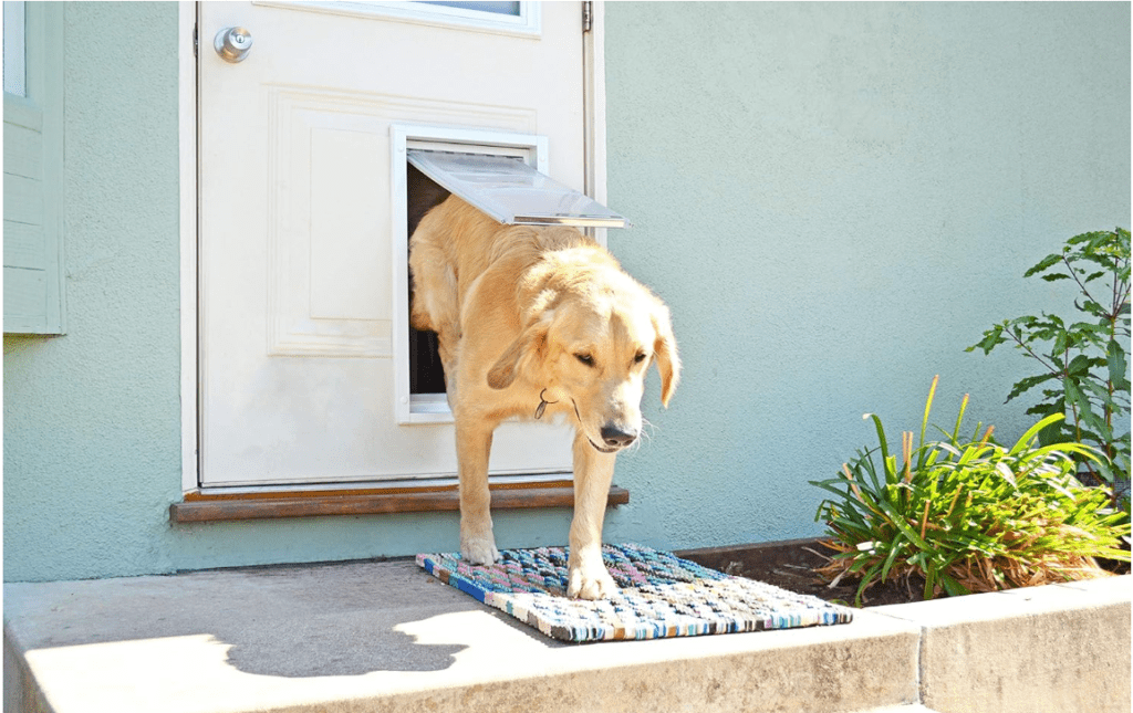Endura Flap Pet Door (White, Medium)