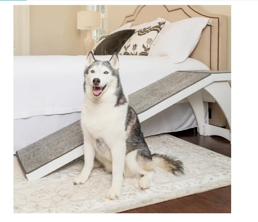 PetSafe CozyUp Dog Ramp 