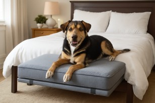 bed extender