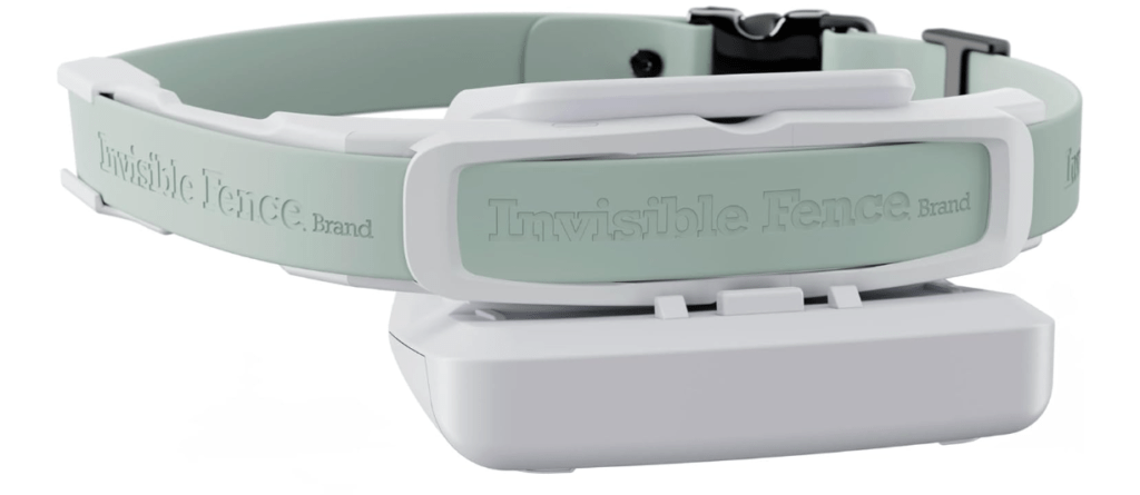 PetSafe Guardian GPS Dog Fence (No Subscription) – Honest Review